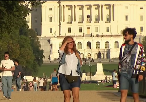 The Impact of Tourism on Businesses in Northern Virginia: An Expert's Perspective